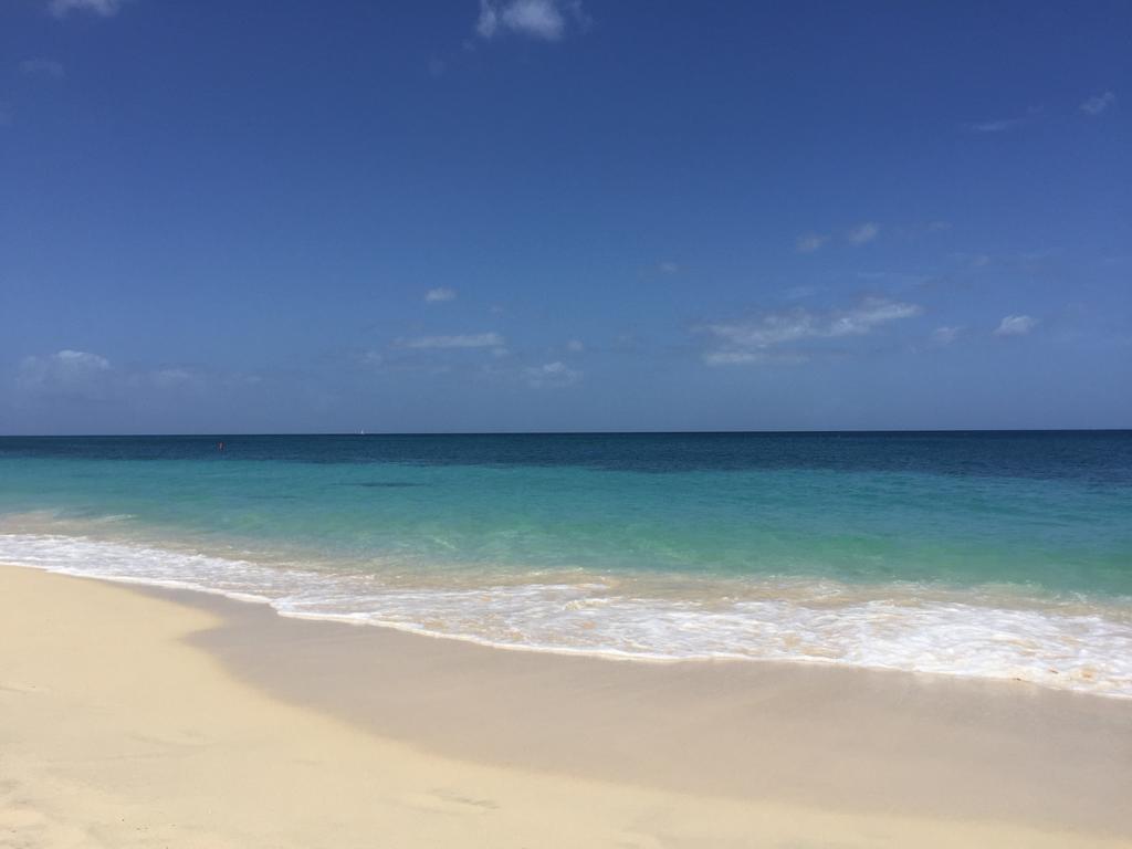 Allamanda Beach Resort Grand Anse Exterior foto
